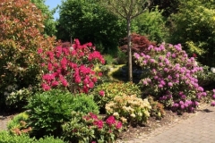 Garten_07